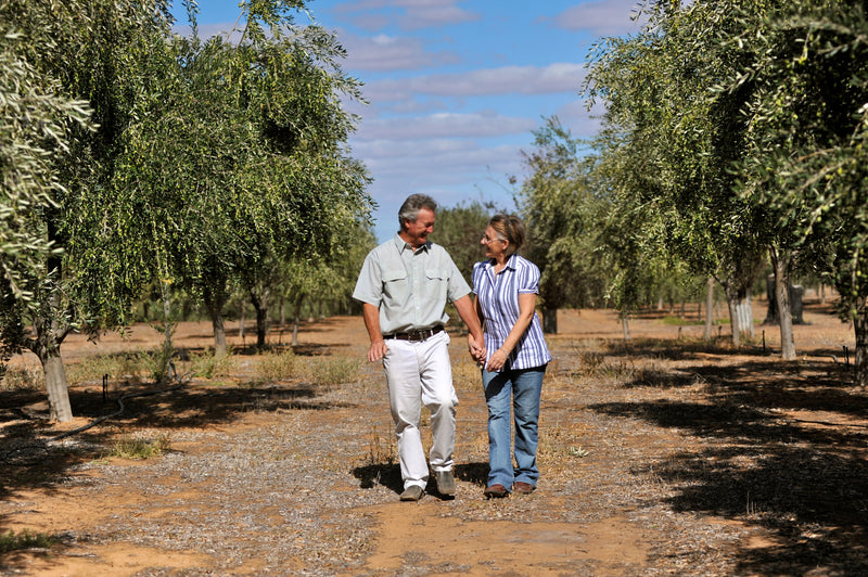 Andy and Jude walking hand in hand through the original Gunbower olive grove beneath a clear blue sky, surrounded by rows of leafy olive trees that inspired the beginnings of Olieve & Olie.
