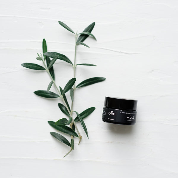 Olieve & Olie Mint Lip Balm beautifully styled in a natural lifestyle setting with fresh olive leaves. Made with Australian olive oil and beeswax, this nourishing lip balm helps keep lips soft, smooth and protected throughout the day